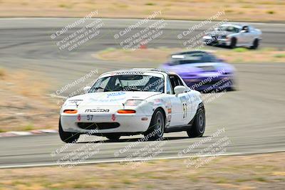 media/May-04-2025-Lucky Dog Racing (Sun) [[21629467aa]]/Turn 4 (10-1045am)/Turn 3/
